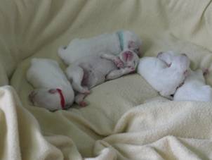 image020.jpg