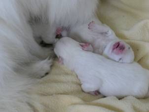 image030.jpg