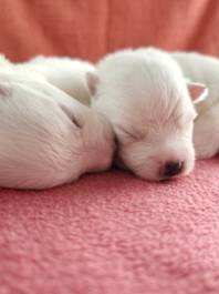 image038.jpg